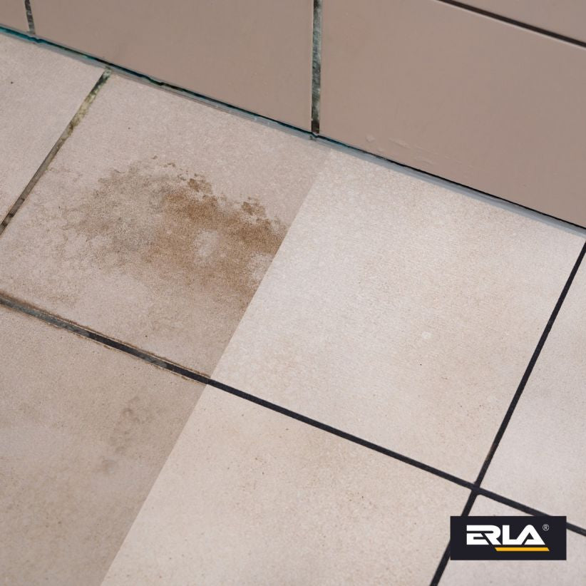 ERLA SANIZ MAX 750ml – Remove Calcário, Ferrugem e Sujidade Difícil em Segundos