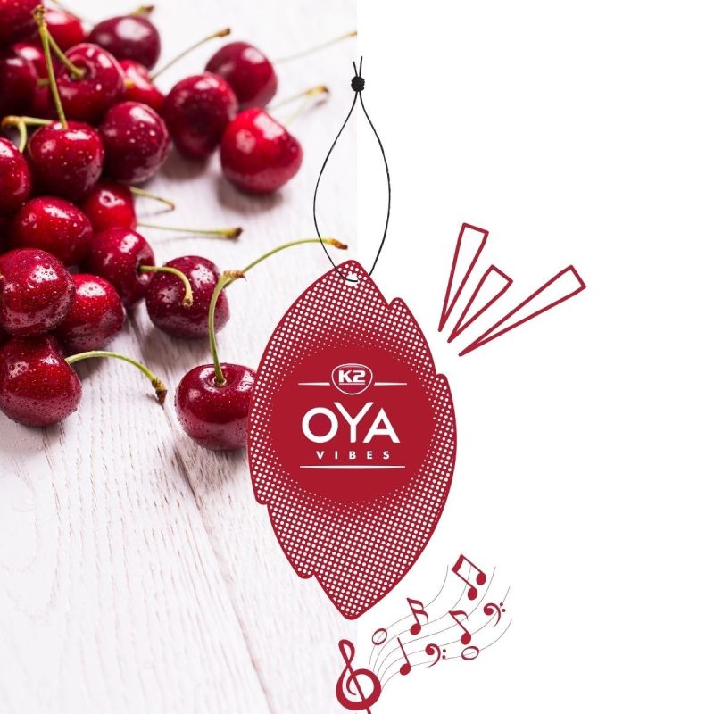 Ambientador OYA VIBRES