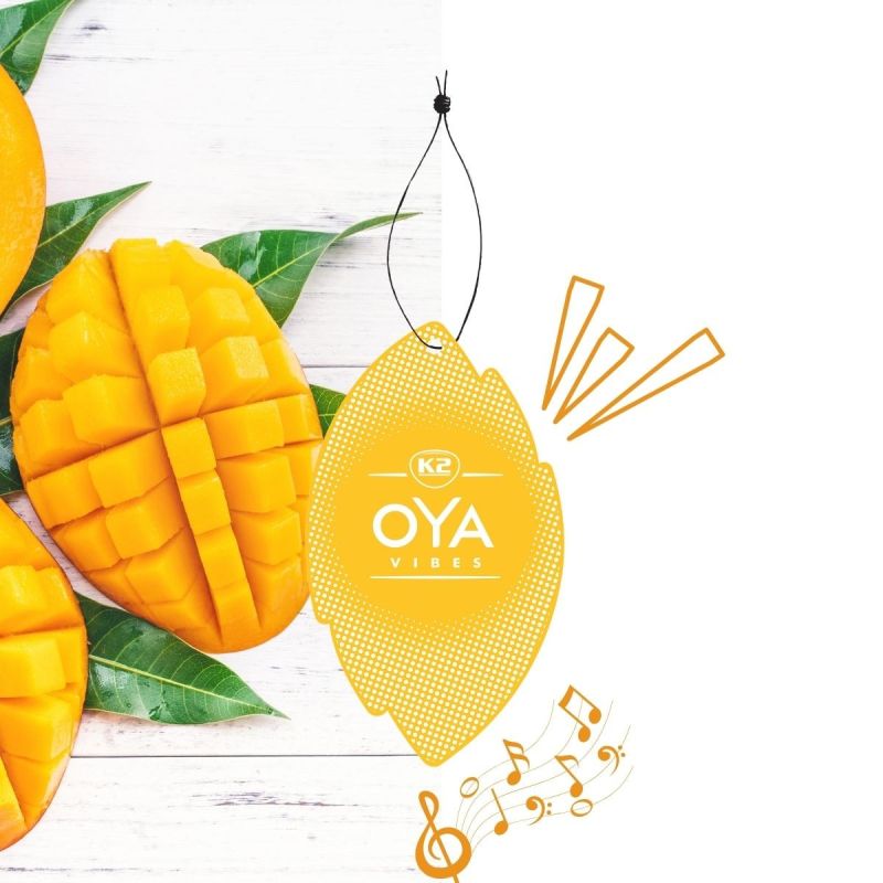 Ambientador OYA VIBRES